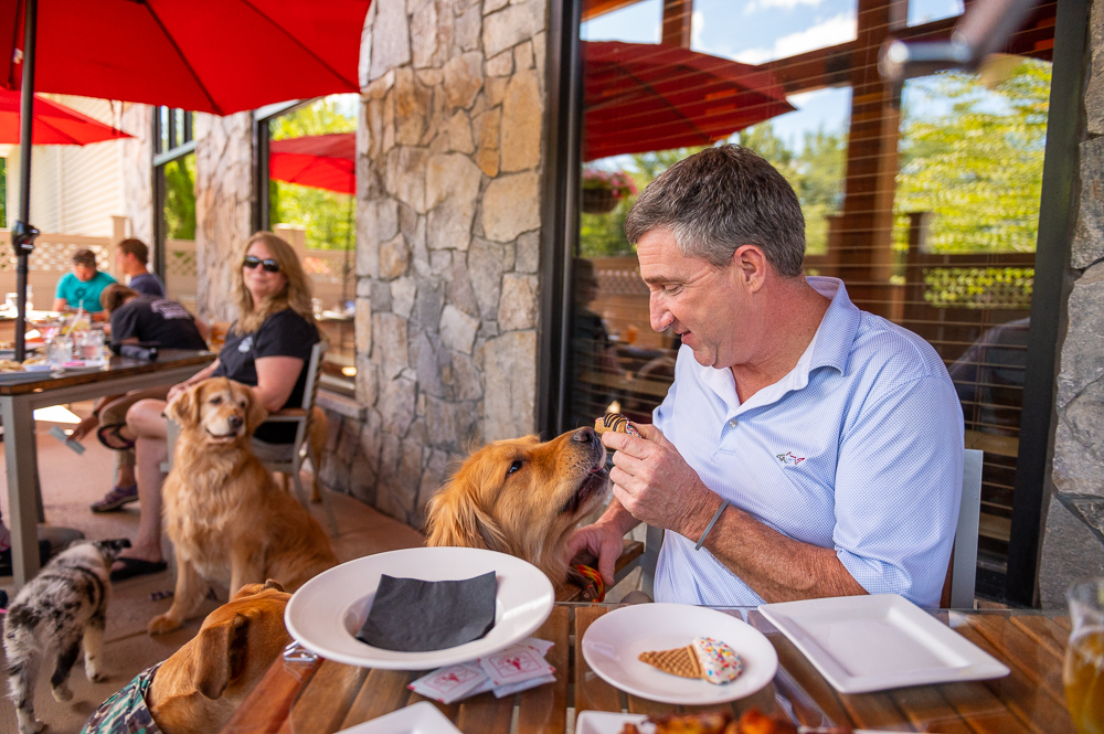 Dog with owner at table on the Black Cap Grille's patio